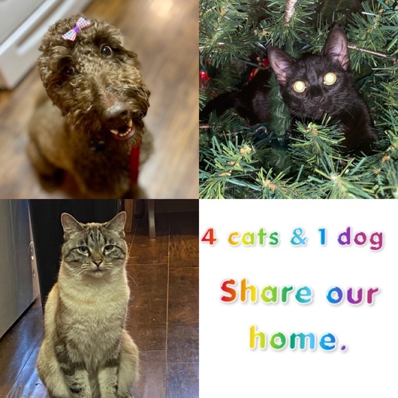 B4 the internet, I thought I was the only Chasta - Picture 2 of 10